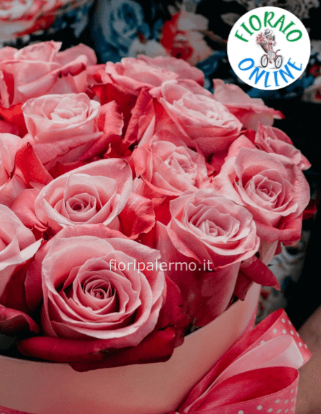 Rose rosa a steli, prima scelta, lunghezza 60 cm