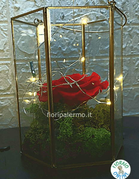 Lanterna in vetro mis. piccola con Rosa rossa e muschio