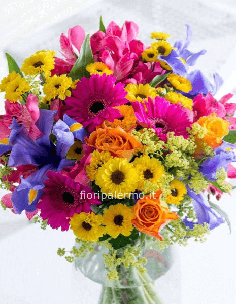 Super Rainbow mis M