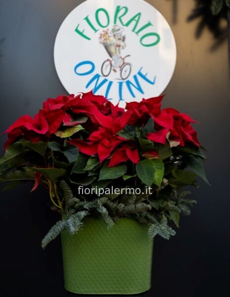 Composizione di stelle con ciotola grande