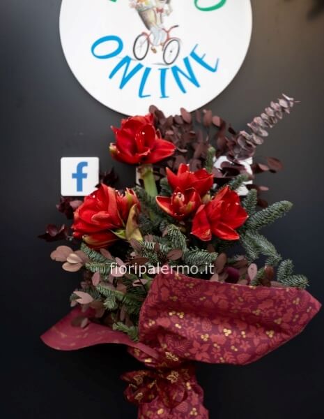 bouquet natalizio con amarillis e abete